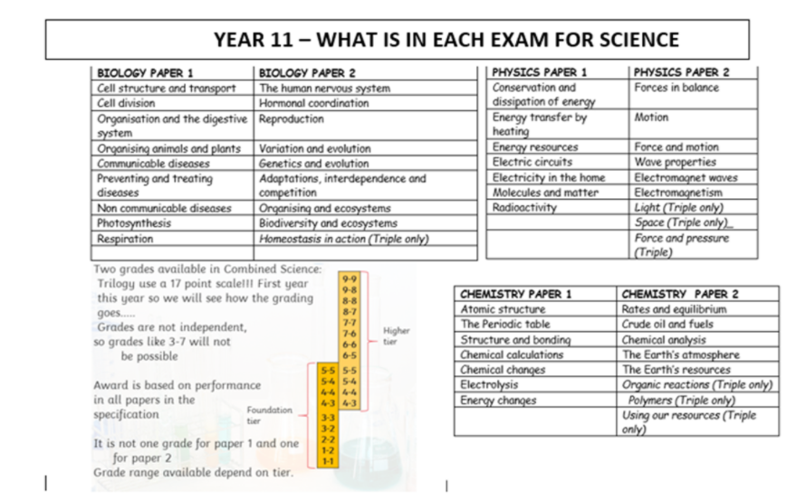 year 10 science student research project